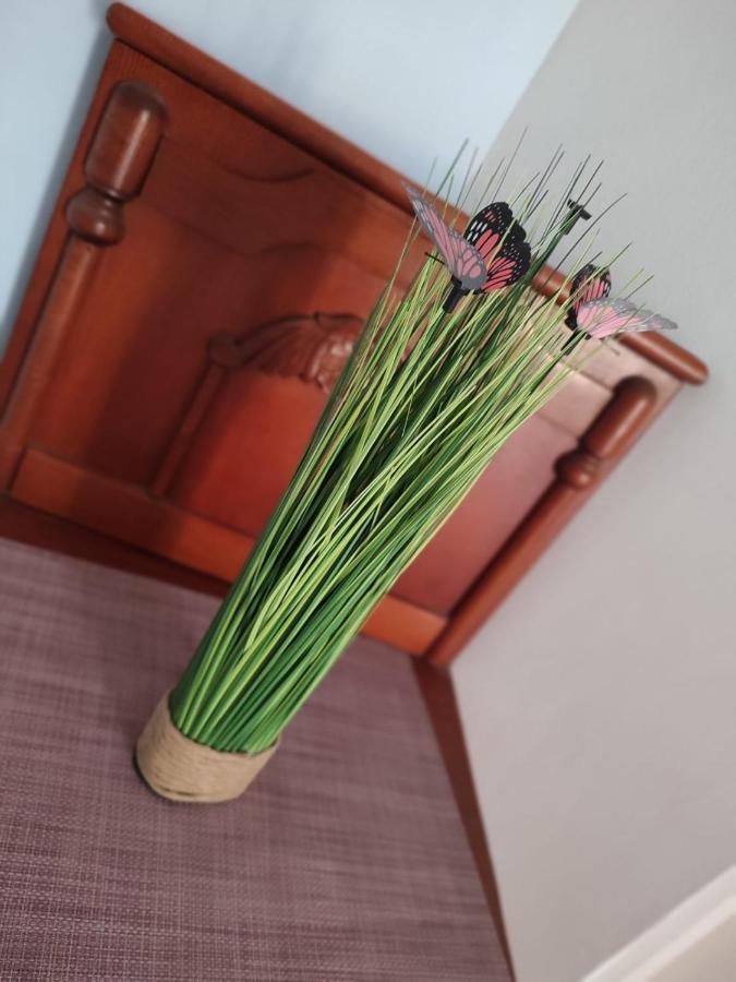 艾福雷诺德Casa Victor公寓 外观 照片